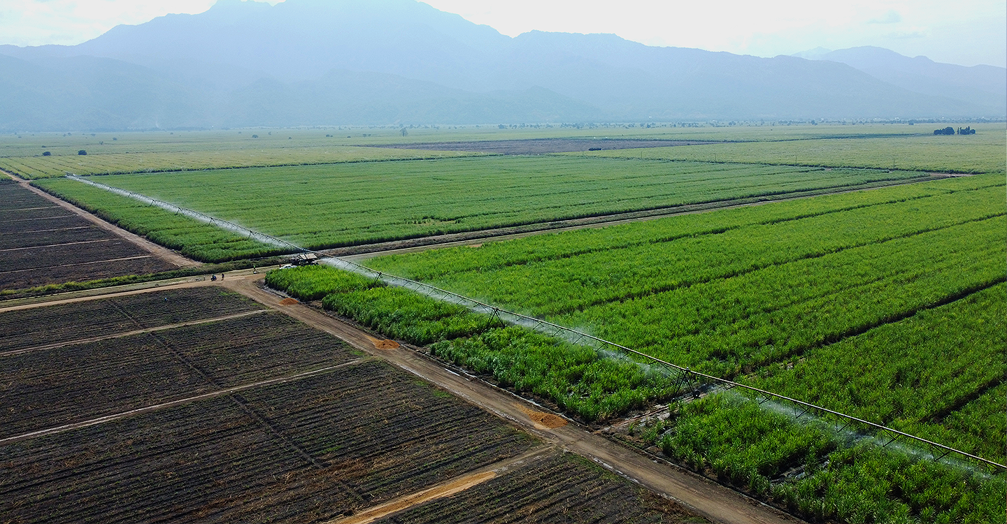 Kilombero Sugar Image Gallery