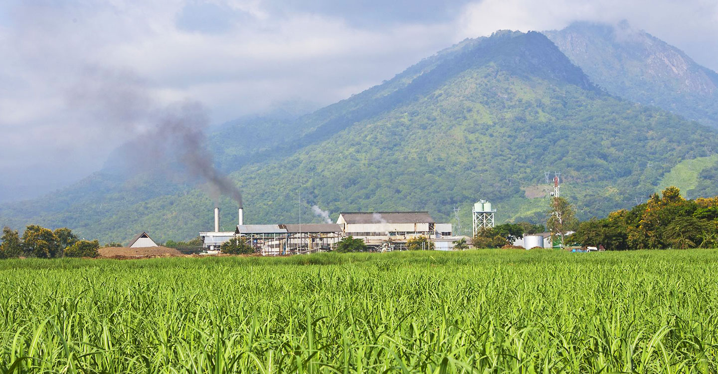 Largest sugarcane estate in Tanzania