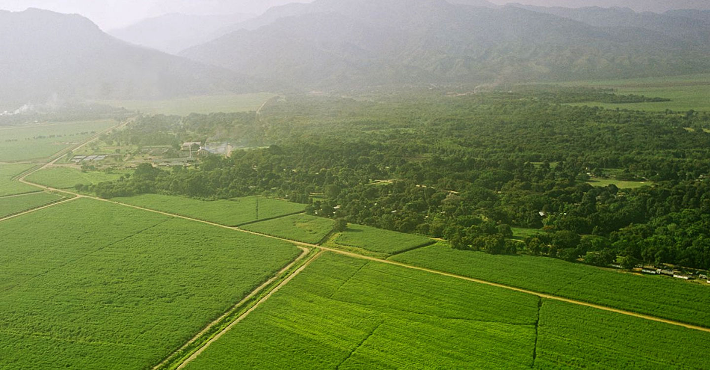 Largest sugarcane estate in Tanzania